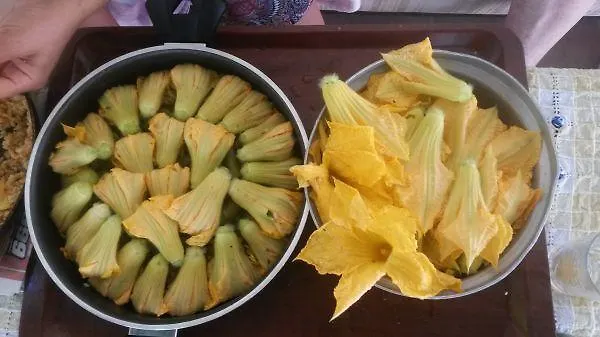 Mesudiye  Meltem Pansiyon Datca טורקיה