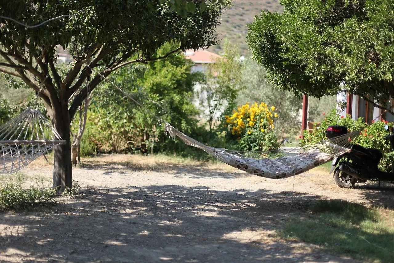 Mesudiye  Meltem Pansiyon Datca 0*, Mesudiye (Datca) טורקיה