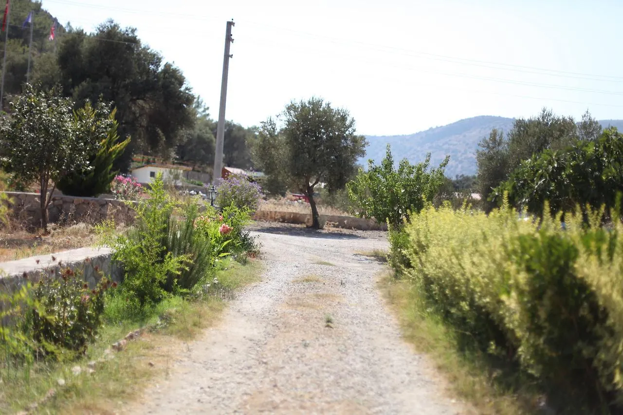 Mesudiye  Meltem Pansiyon Datca